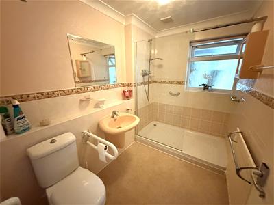 Picture 15